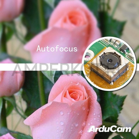 4K камера Arducam 8MP (IMX219) с автофокусом, микрофоном и USB, фото 6