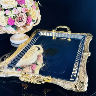 Прямоугольный поднос 53см Lenardi, в подарочной упаковке, нержавеющая сталь, арт.151-009