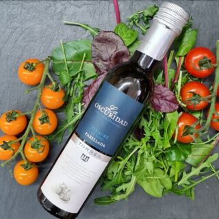 Белый винный уксус натуральный (Парельяда) Torres, 250 мл