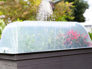 GARANTIA Парниковый колпак для грядки 645141