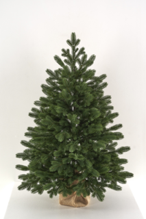 Ель Max Christmas настольная Византийская 0,7 м