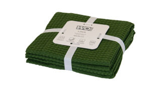 Набор полотенец кухонных WO HOME LAVA 50х70 см, 2 шт, хлопок, зеленый, п/к