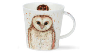Кружка Dunoon Совы коричневые Кернгорм 480 мл, фарфор костяной