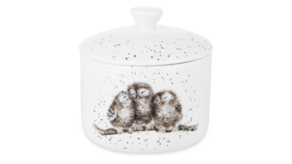 Банка для хранения с крышкой Royal Worcester Забавная фауна Совы 9,5х10 см, фарфор костяной