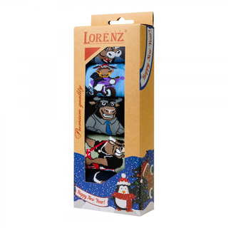 Набор мужских носков (5 пар) размер 41-42