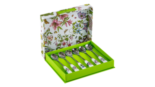 Набор ложек чайных Portmeirion Ботанический сад 15 см, сталь нержавеющая, 6 шт., подарочная коробка