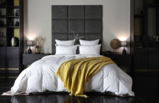 Пуховое одеяло Felicia Premium