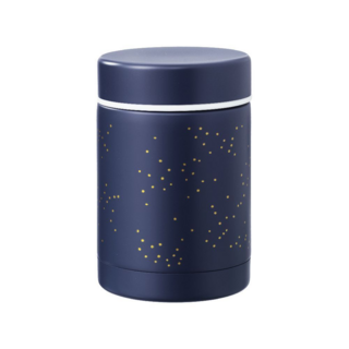 Термос для еды Fresk "Звездное небо", индиго, 300 мл