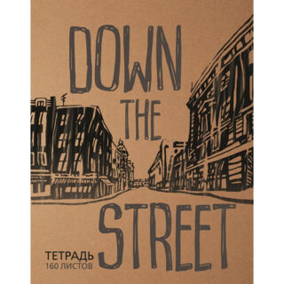 Тетрадь общая Альт ВНИЗ ПО УЛИЦЕ, А5, клетка, кольца (смен. блок),160 листов, 7-160-081/53