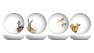 Набор тарелок для пасты Royal Worcester Забавная фауна, 22 см, 4 шт.