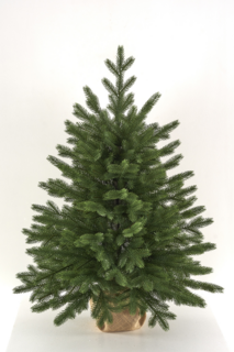 Ель Max Christmas настольная Версальская 0,7 м