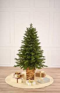 Ель Max Christmas в вазоне Кремлевская 1,8 м