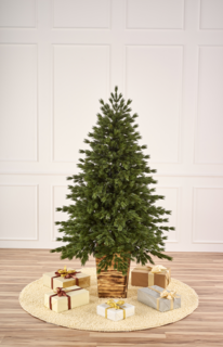 Ель Max Christmas в вазоне Японская 1,8 м