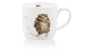 Кружка Royal Worcester Забавная фауна Сова, 310 мл, фарфор