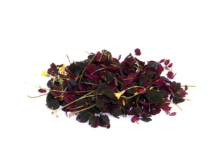 Кислица Мелкая листья (Тёмная), срез 20 г