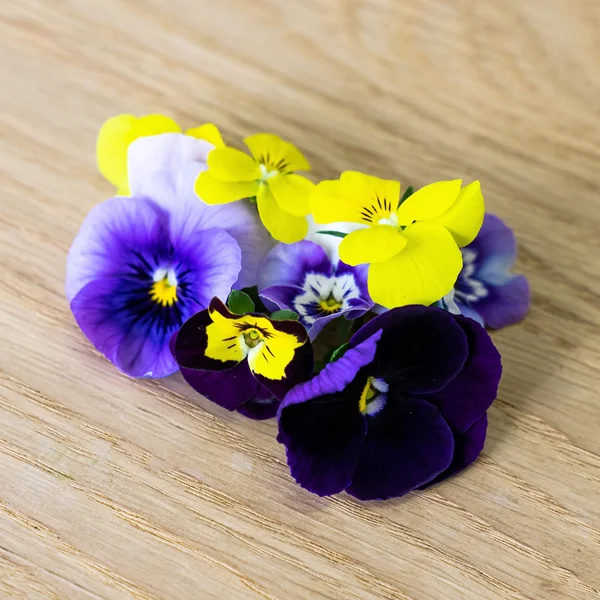 Цветы съедобные Виола (Анютины глазки), срез 25 шт