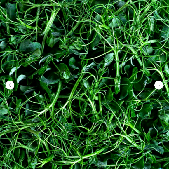 Микрозелень Горошек зеленый, на корню лоток 12*18 см