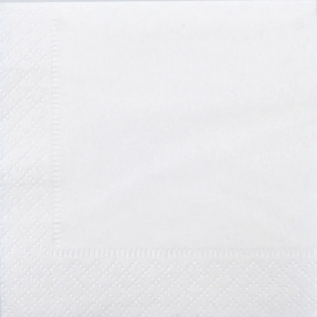 Салфетки бумажные сервировочные 2-слойные, 200 штук, 20х20 см, белые