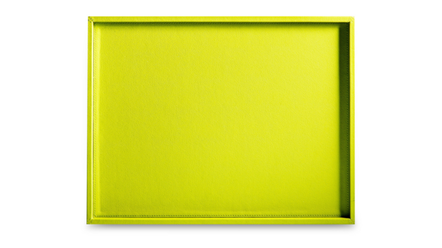 Поднос GioBagnara Тедди 44,5x34,5см, светло-зелёный, капучино, принт замша