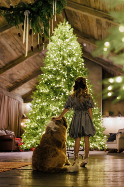 Ель с лампочками Ливадийская, Max Christmas , высотой 3.65 м