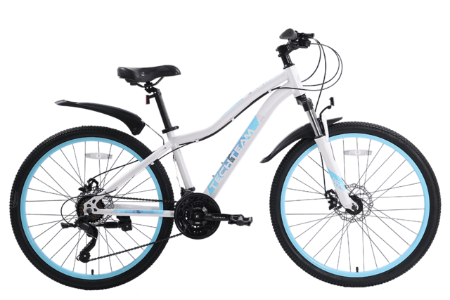 Велосипед горный Delta 26"х16" бело-синий (сталь)