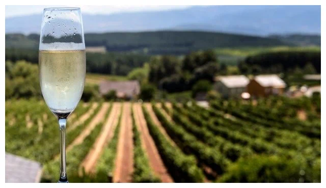 Вино игристое безалкогольное MON ERMITAGE ESPUMOSO BLANCO / Мон Эрмитаж Белое полусухое, 750 мл