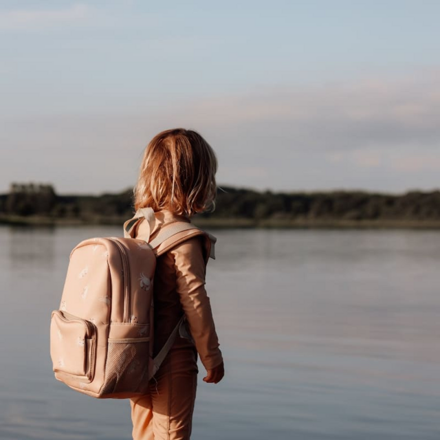 Рюкзак Vanilla Copenhagen "Lily", ореховый, маленький