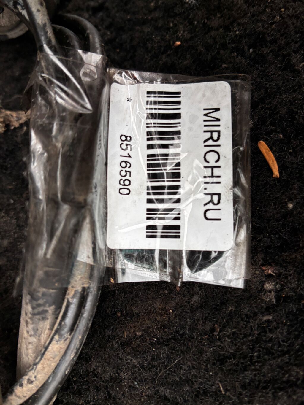 Датчик ABS на Honda Stepwgn RG1 K20A, Переднее расположение