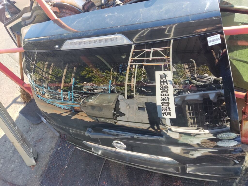Дверь задняя на Nissan X-Trail NT31