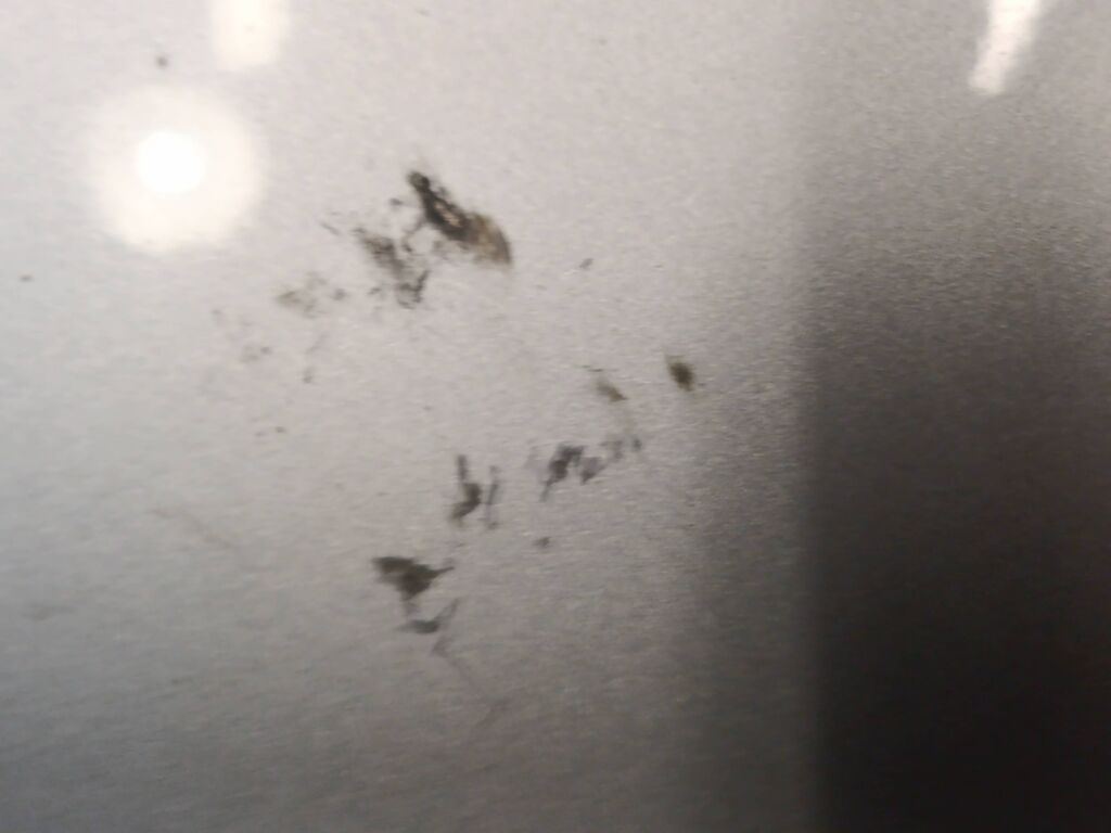 Крыло переднее MN133356 на Mitsubishi Colt Plus Z23W Фото 2 Крыло переднее MN133356 на Mitsubishi Colt Plus Z23W Фото 2