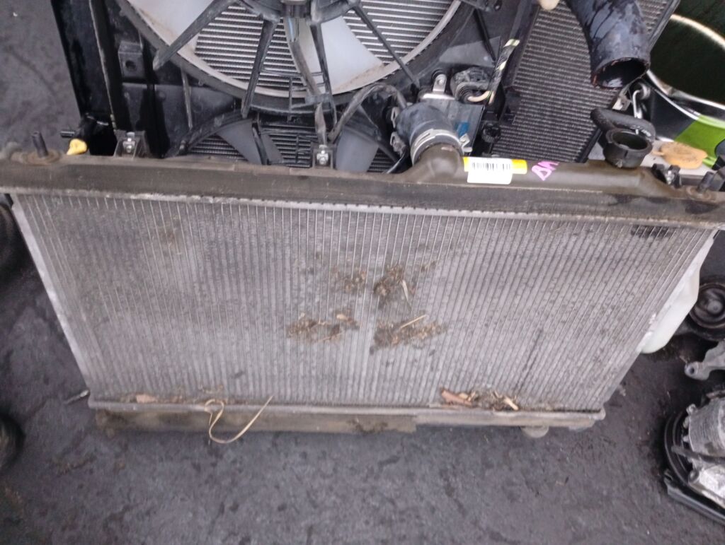 Радиатор ДВС на Subaru Legacy BM9 EJ253