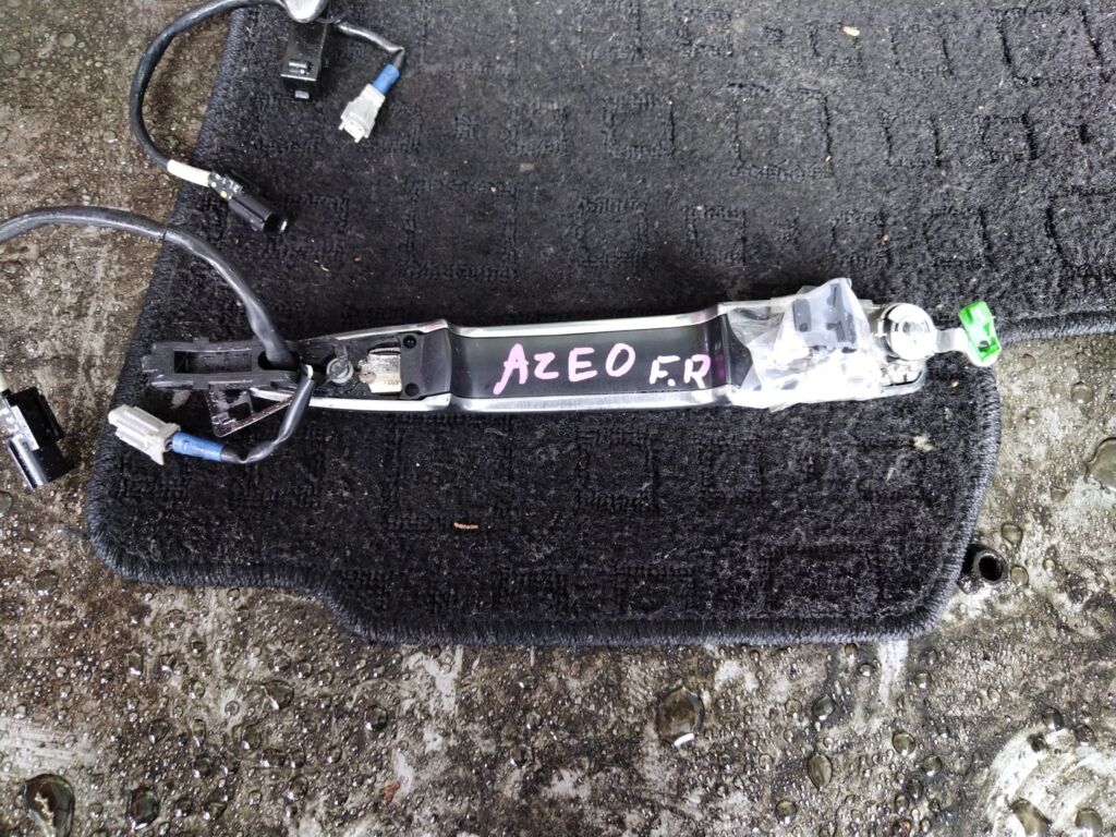 Ручка двери на Nissan Leaf AZE0, Переднее Правое расположение